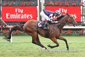 Magic Murphy out rides claim
